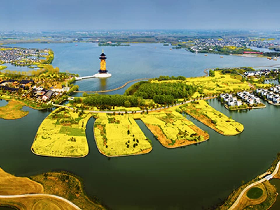 溱湖国家湿地公园